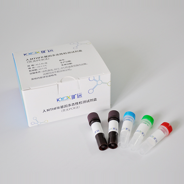 人MTHFR基因多态性检测试剂盒（荧光PCR法）