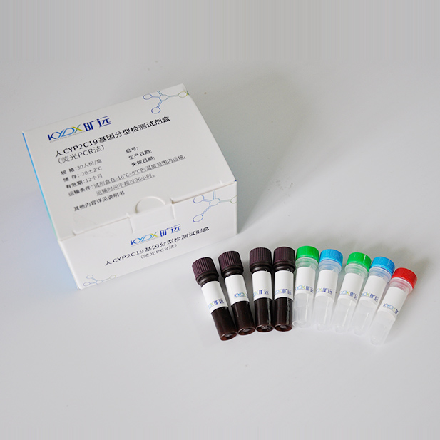 人CYP2C19基因分型检测试剂盒（荧光PCR法）
