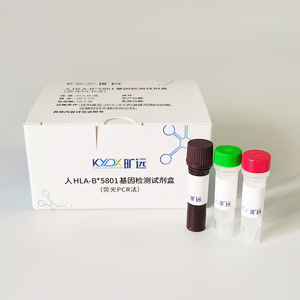 人HLA-B*5801基因检测试剂盒（荧光PCR法）